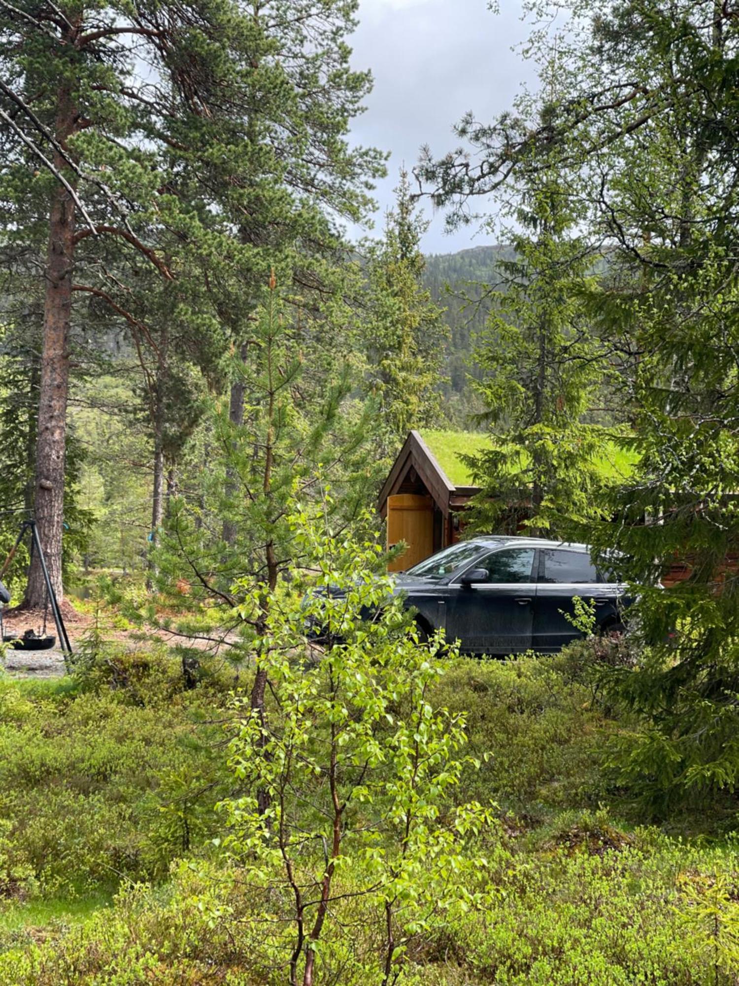Hytta Pa Oyfjell Villa Exterior photo