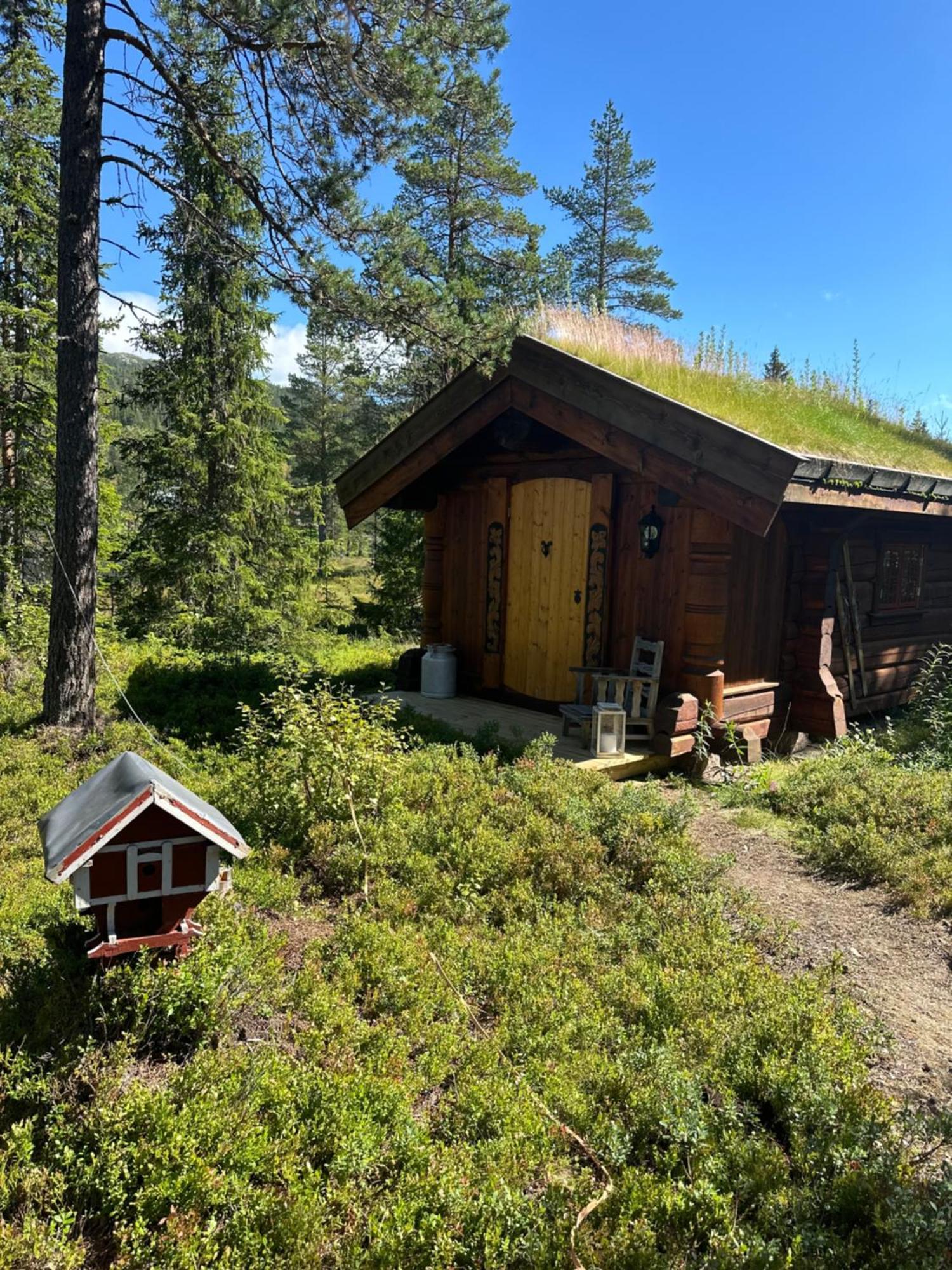 Hytta Pa Oyfjell Villa Exterior photo