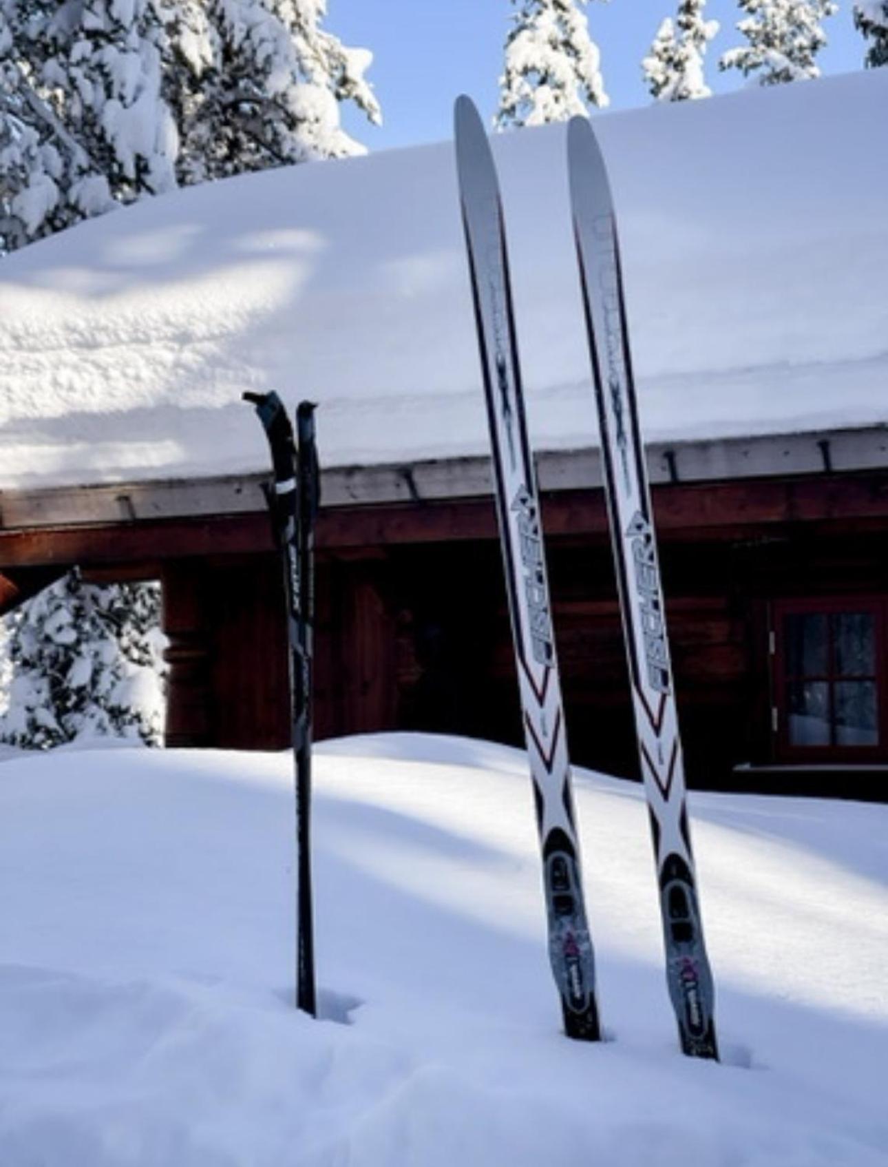 Hytta Pa Oyfjell Villa Exterior photo
